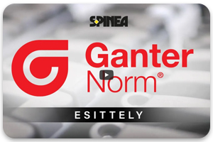 Ganter Norm esittely